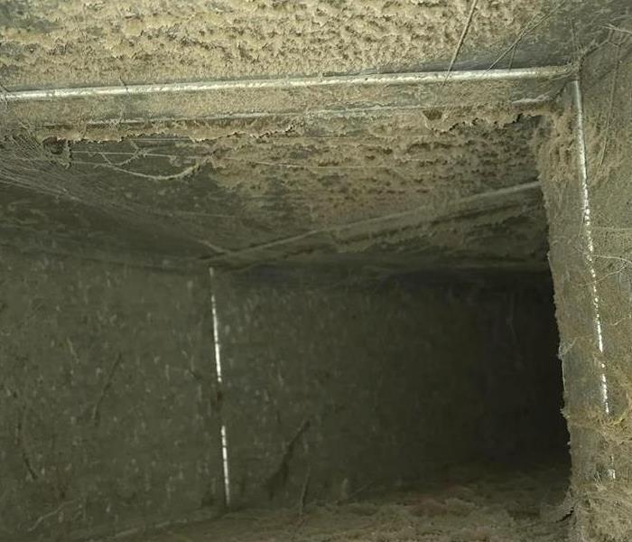 dirt inside a air duct